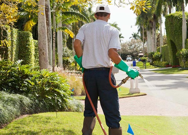 About Brandeis CA Pest Control